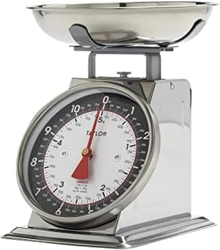 Taylor Mechanical Scale
