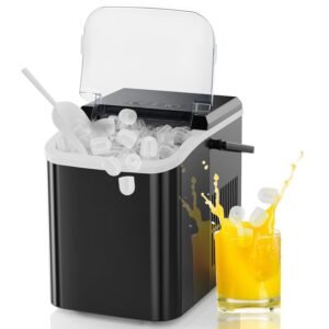 portable icemaker